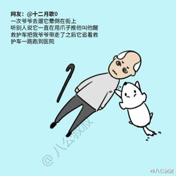 令人感动的一件事，令人感动的一件事作文500字