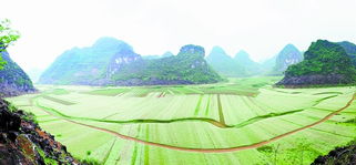 隆安，隆安律师事务所