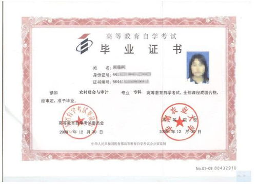 成考和自考的区别吗?