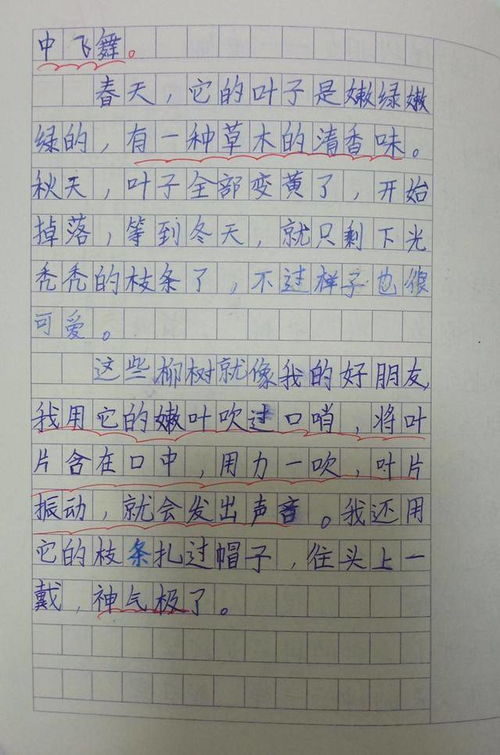 三年级作文,描写一种植物480字