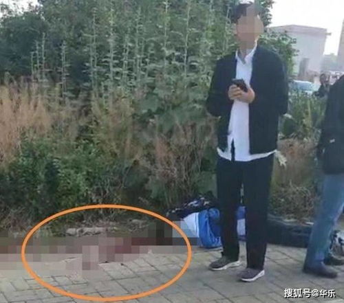 谁知道海南鲁迅中学砍人事件