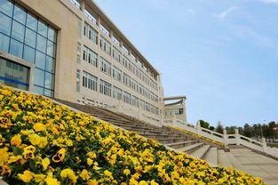 四川大学锦江学院是几本院校?