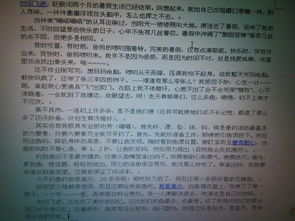 难忘的假期作文600字，难忘的假期作文600字寒假