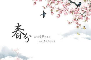 春分的古诗