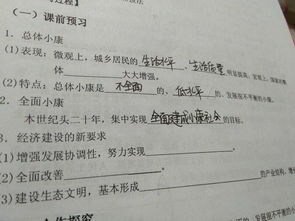 总体小康和全面小康的区别?