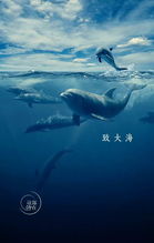 舒婷的《致大海》原文是什么?