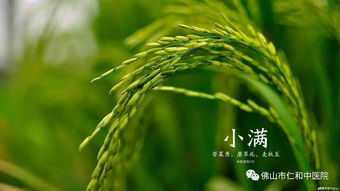 小满的寓意