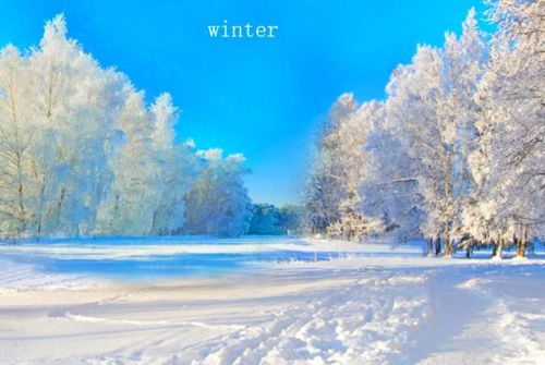 冬天英文，冬天英文怎么读