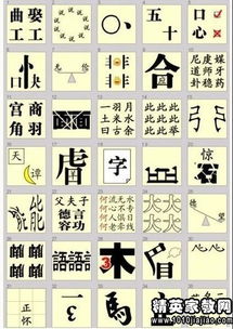 形容人品质的成语，形容人品质的成语褒义词
