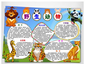 关于动物有关的手抄报 关于生物的手抄报