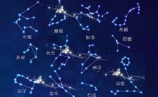 十二星座占卜牌怎么玩?