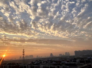 明天嘉兴天气怎样?