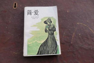简爱这部书主要内容是什么