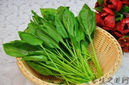 春天吃什么菜好，春天吃什么菜好养肝