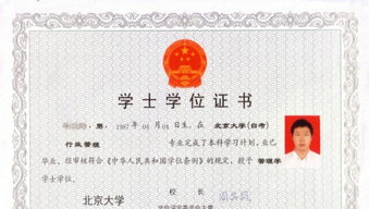 “学历:本科”英文怎么写啊?