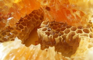 蜂胶的副作用，蜂胶的副作用有哪些