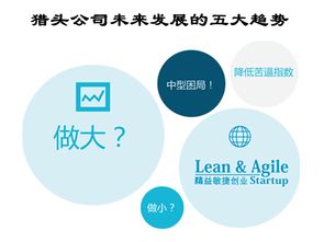 公司发展，公司发展战略规划