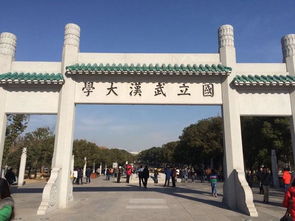 武汉大学数学与统计学院有哪些教学中心?