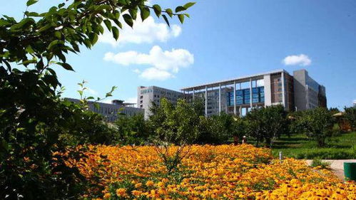 延边大学是211大学还是985大学