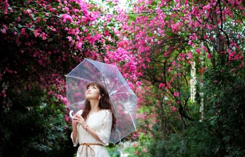 花开花落经典句子，花开花落经典句子简短