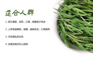 石竹茶的功效与作用有哪些