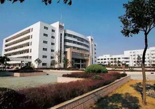 上海理工大学是几本，上海财经大学是985还是211