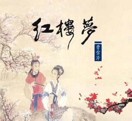 红楼梦的主要内容(100字左右)