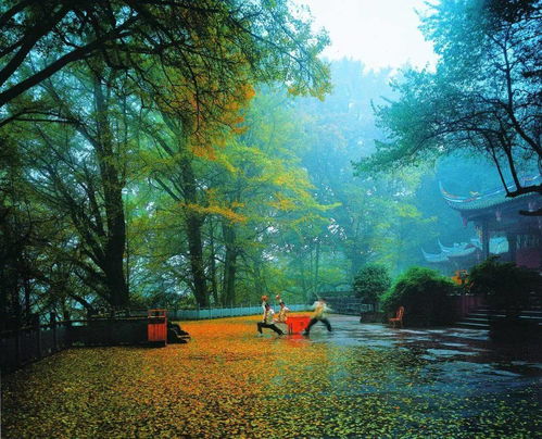 蒙顶山，蒙顶山茶文化旅游节