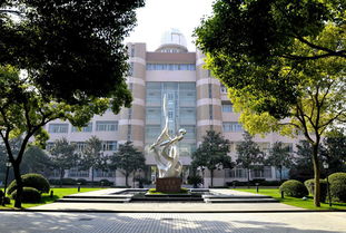 复旦大学附属中学录取分数线