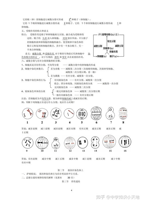 高中生物知识点总结大全