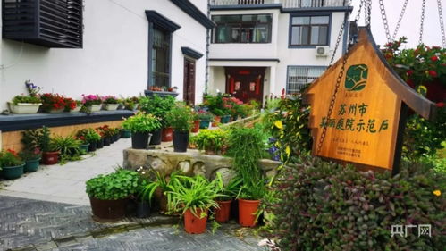 美丽庭院示范户范文，美丽庭院示范户范文300字