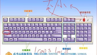 电脑入门基本知识键盘，电脑入门基本知识键盘学打字