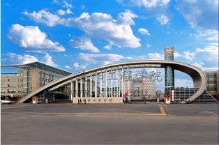 沈阳工程学院网站教务处的IP是多少?