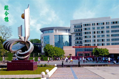 重庆科技学院奥蓝系统，重庆科技学院奥蓝系统登录学生版