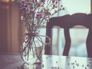 零存整取打一成语，零存整取打一成语答案