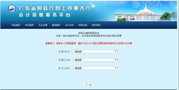广东省会计信息服务平台网址