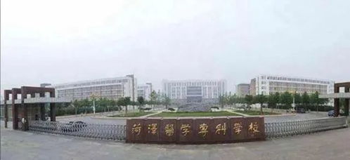 山东专科二批学校，山东专科公办学校