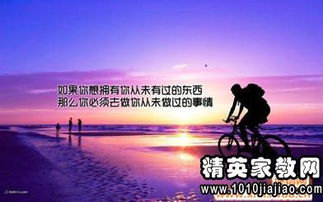 昆虫记读后感800字
