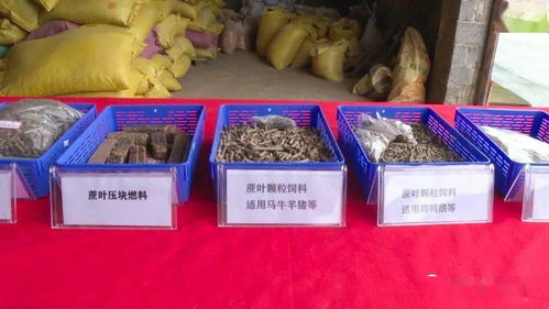 秸怎么读，秸怎么读组词
