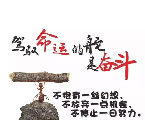 关于努力的励志文案 激励自己努力拼搏的文案(90句)