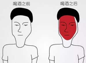 为什么喝酒会脸红?
