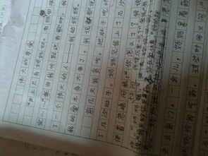 伟大的母亲作文，伟大的母亲作文400字