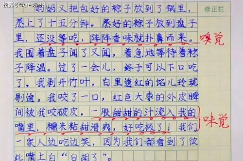 端午节的作文怎么写，端午节的作文怎么写300字