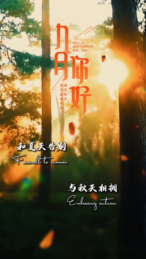 用“是,是,是,是”造句