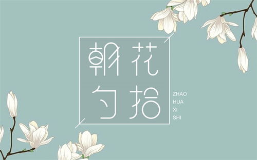 朝花夕拾的好词，朝花夕拾的好词摘抄