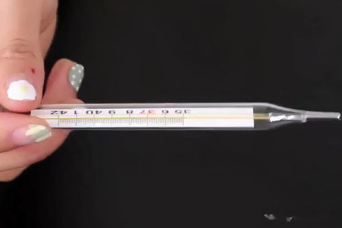 温度计的使用方法五步