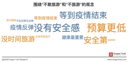 调研活动的方案