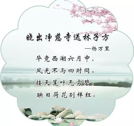 晓出净慈寺送林子方全诗