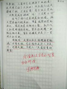 春天来了二年级的作文300字