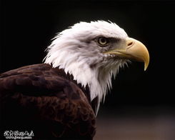 杭州口碑最好画室